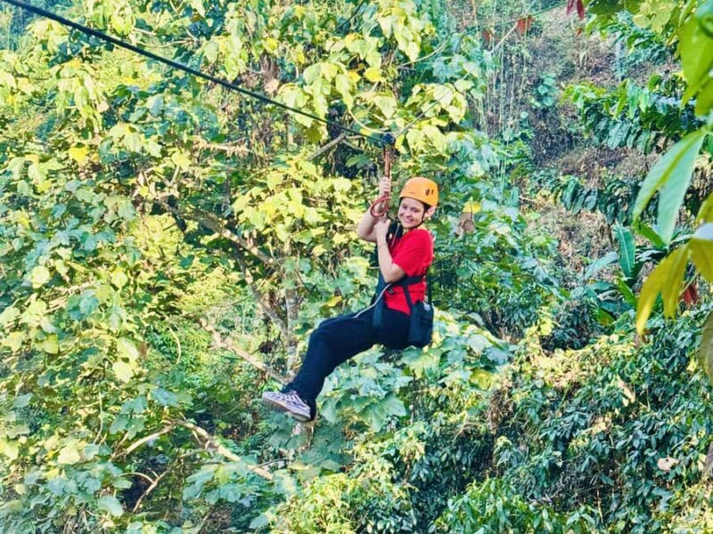 Chiang Mai: Sticky Waterfall and Zipline Adventure Day Trip - An In-Depth Look at the Tour