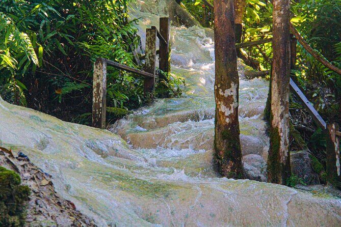 Chiang Mai: Sticky Waterfall by Local Truck with Market Stop - Review Insights and Additional Tips