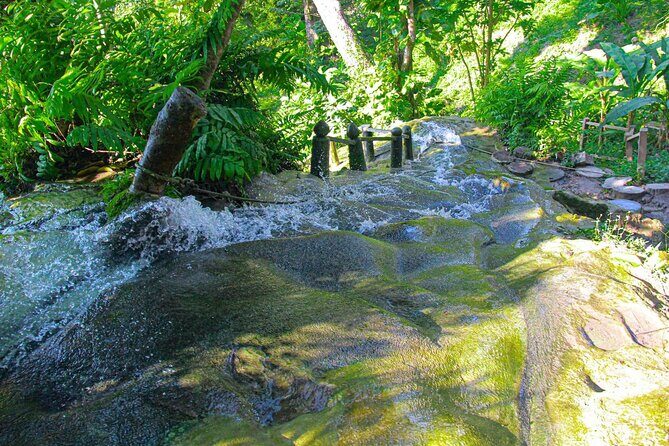 Chiang Mai: Sticky Waterfall by Local Truck with Market Stop - The Sum Up