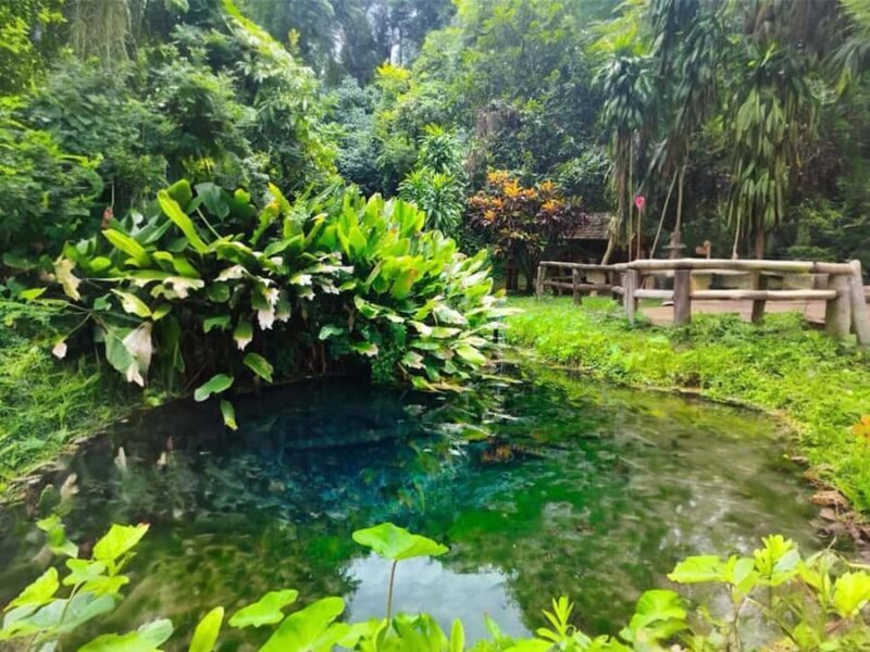 Chiang Mai : Sticky Waterfall, Cave, Forest Walk Tour - Good To Know