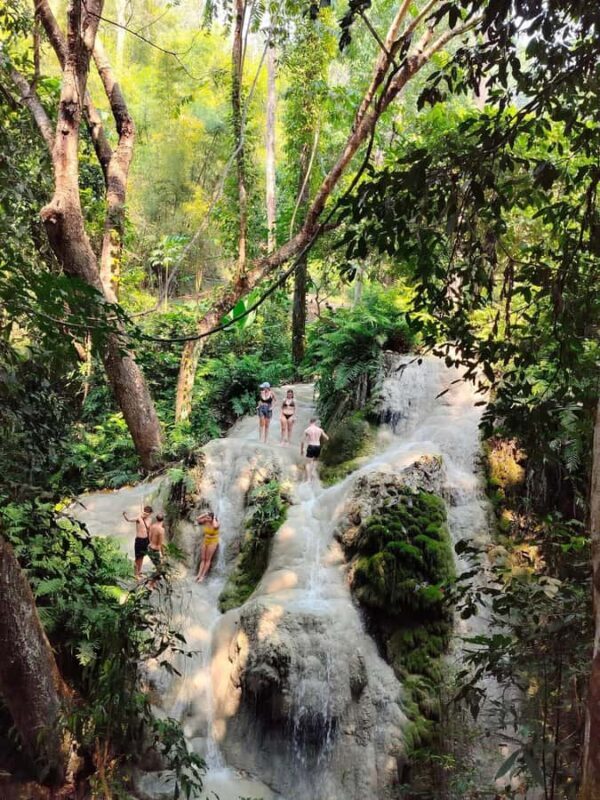 Chiang Mai : Sticky Waterfall, Cave, Forest Walk Tour - The Journey Begins: Pickup and Transportation
