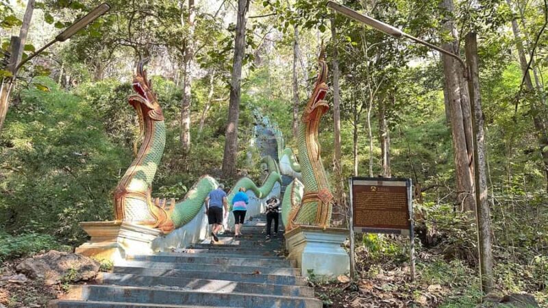 Chiang Mai : Sticky Waterfall, Cave, Forest Walk Tour - Jungle Walk and Scenic Scenery