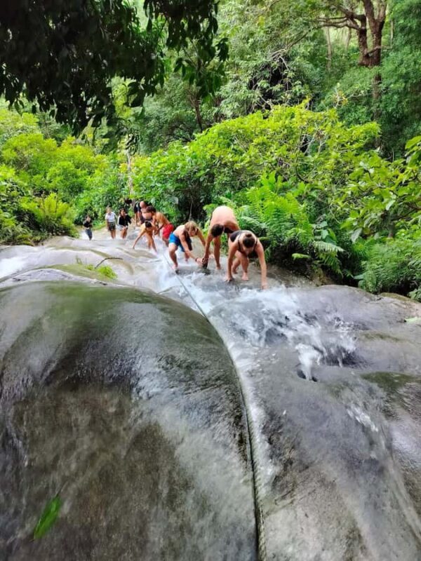 Chiang Mai : Sticky Waterfall, Cave, Forest Walk Tour - Lunch Time: Authentic Thai Flavors