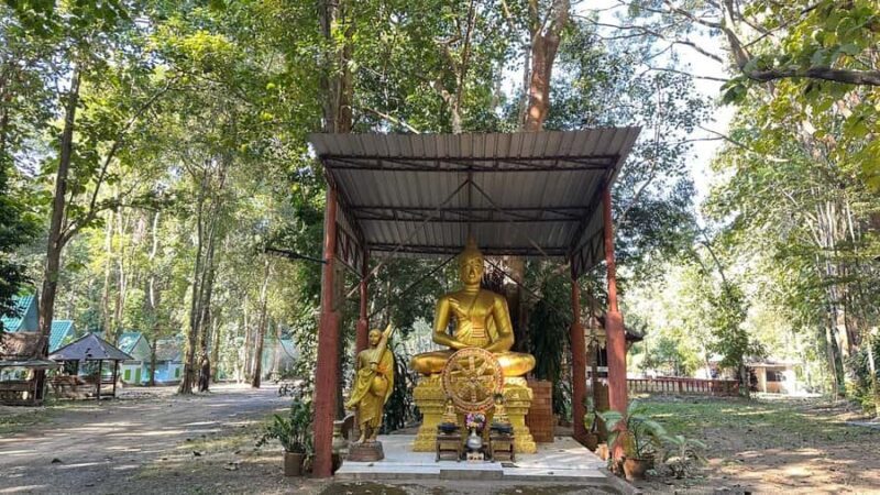 Chiang Mai : Sticky Waterfall, Cave, Forest Walk Tour - Who Is This Tour Best For?