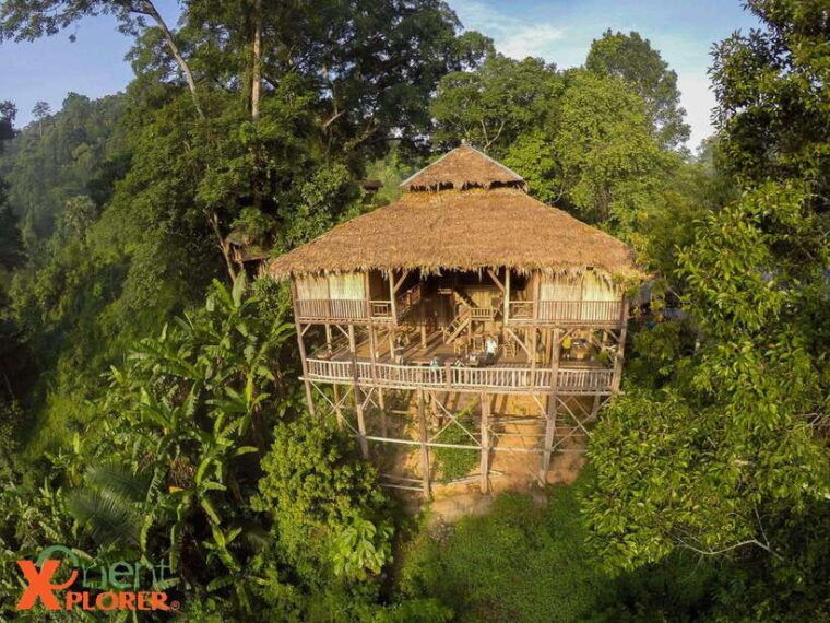 Chiang Mai: Sticky Waterfall & Caves Tour W/ Treehouse Stay - Day 1 Itinerary