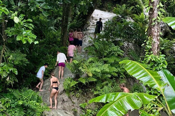 Chiang Mai Sticky Waterfall Climbing Adventure Half Day Tour - Final Thoughts: Is It For You?