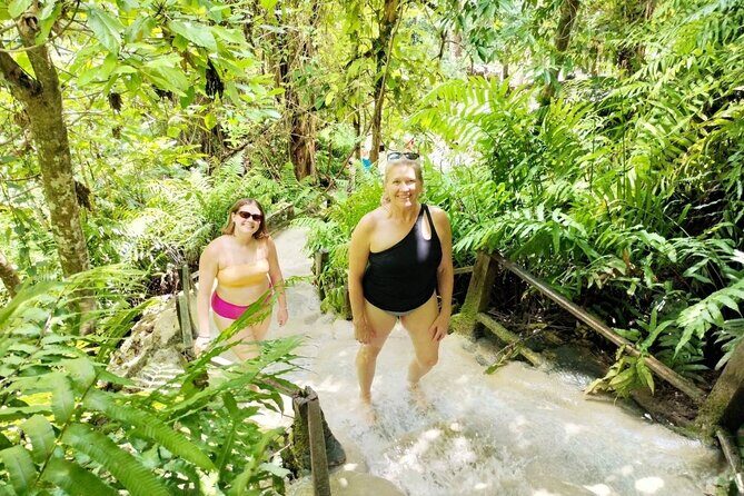 Chiang Mai Sticky Waterfall Dantewada and Banden Temple Tour - Who This Tour Is Perfect For