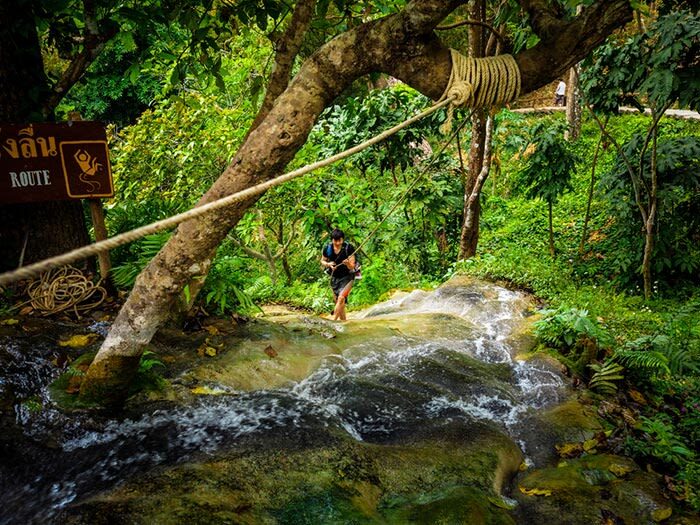 Chiang Mai Sticky Waterfall, Elephant Cafe, and POOPOOPAPER Park - Climbing Bua Tong’s unusual limestone
