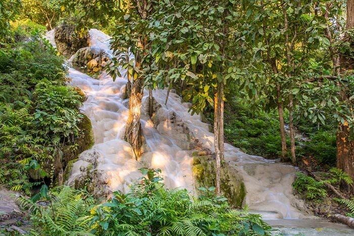 Chiang Mai Sticky Waterfall, Elephant Cafe, and POOPOOPAPER Park - Choosing an add-on that fits your day