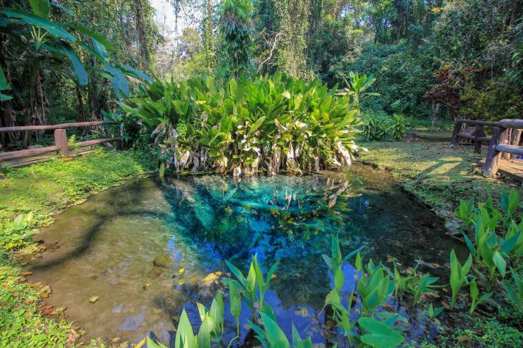 Chiang Mai Sticky Waterfall, Elephant Cafe, and POOPOOPAPER Park - What the price buys