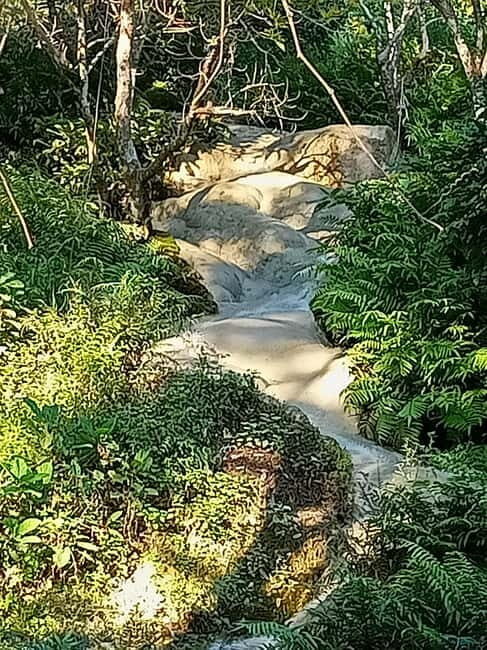 Chiang Mai: Sticky Waterfall Half day tour - What’s Included and What’s Not