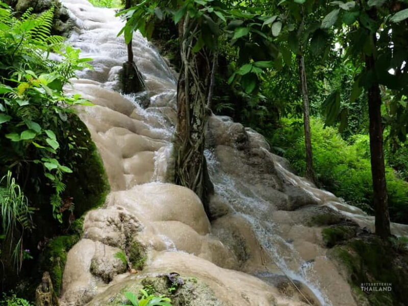 Chiang Mai: Sticky Waterfall Half day tour - Practical Details & Tips