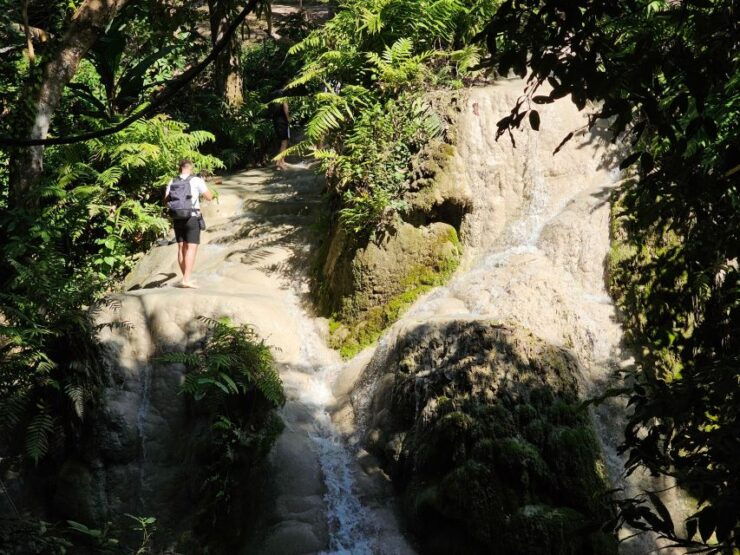 Chiang Mai: Sticky Waterfall Half-Day Tour & Hotel Transfers - Booking Details