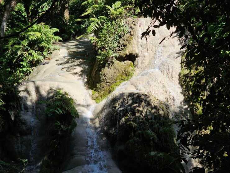 Chiang Mai: Sticky Waterfall Half-Day Tour & Hotel Transfers - Tour Experience