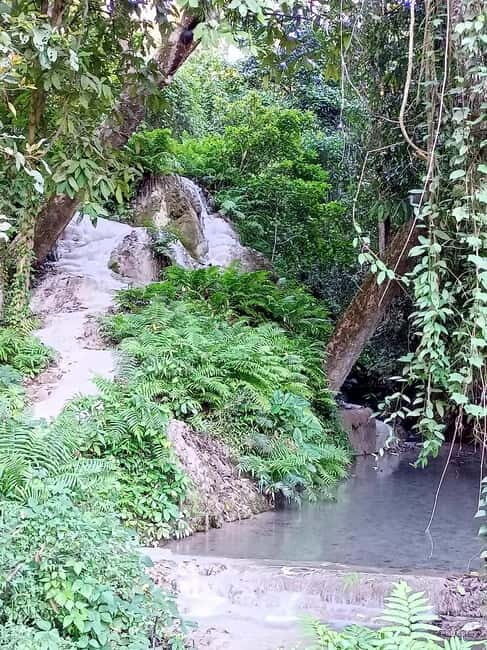 Chiang Mai: Sticky Waterfall Half day tour - The Itinerary: What You Can Expect