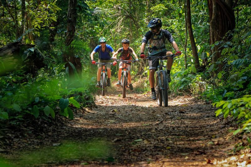 Chiang Mai Sticky Waterfalls Bike Tour by Trailhead - Is the price fair for an active day out?