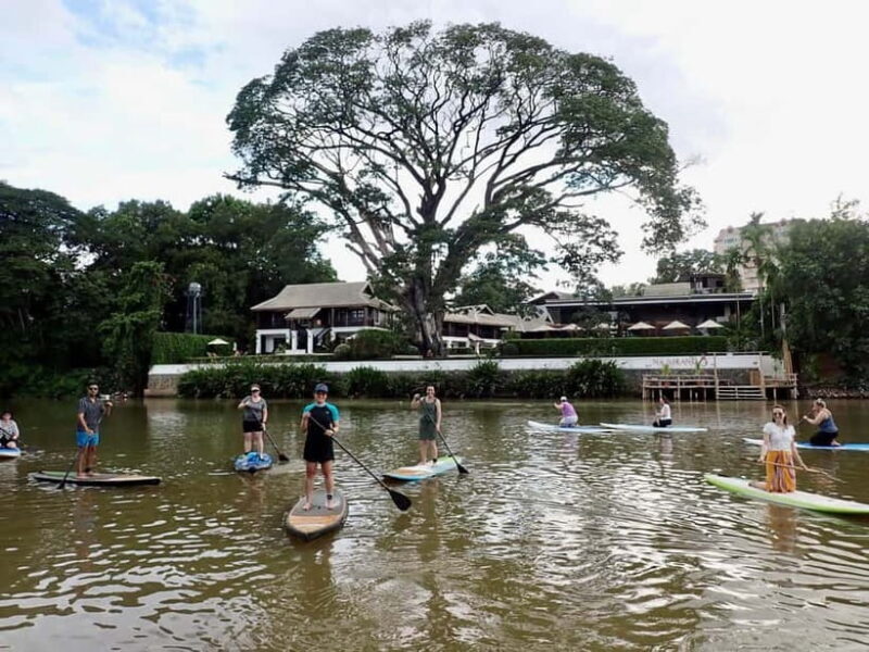 Chiang Mai: SUP Paddleboarding on the Ping River - Good To Know