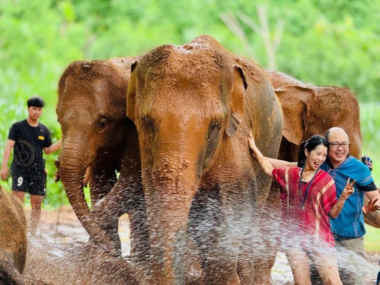 Chiang Mai : Temple , Nature and Culture in One Day. - Detailed Itinerary