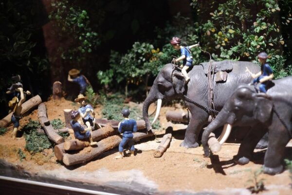 Chiang Mai: Temples & Culture Tour - Common Questions