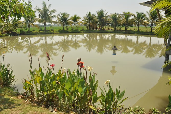 Chiang Mai Thai Cooking Class on Farm - Location and Surroundings