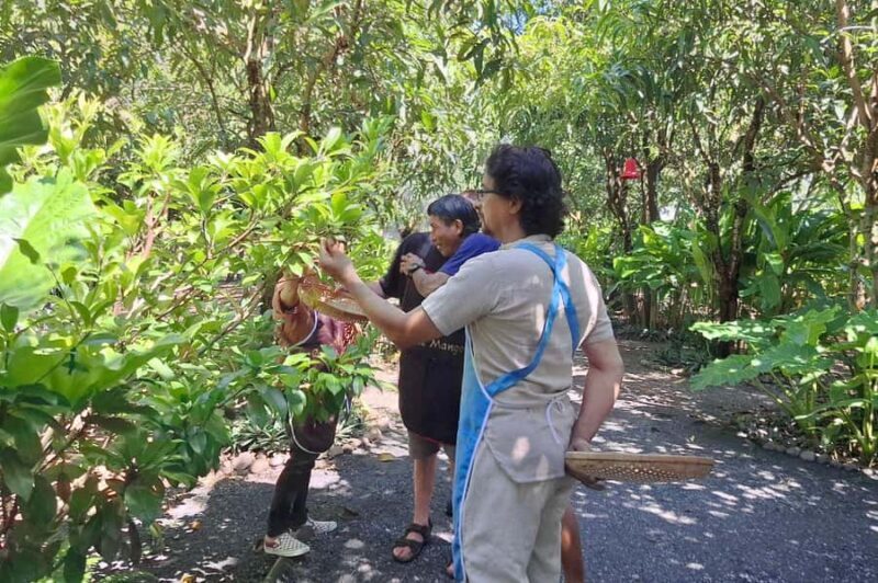 Chiang Mai: Thai Cooking Class & Village Cycling Tour - Good To Know  