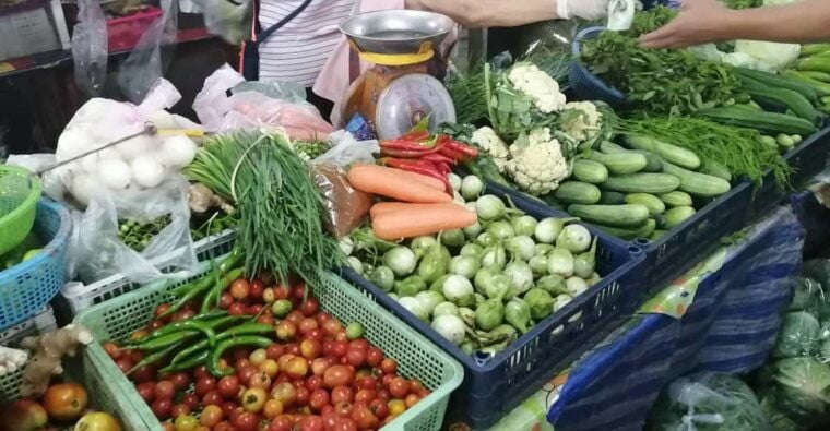 Chiang Mai: Thai Cooking Class With Market Tour - Participant Information