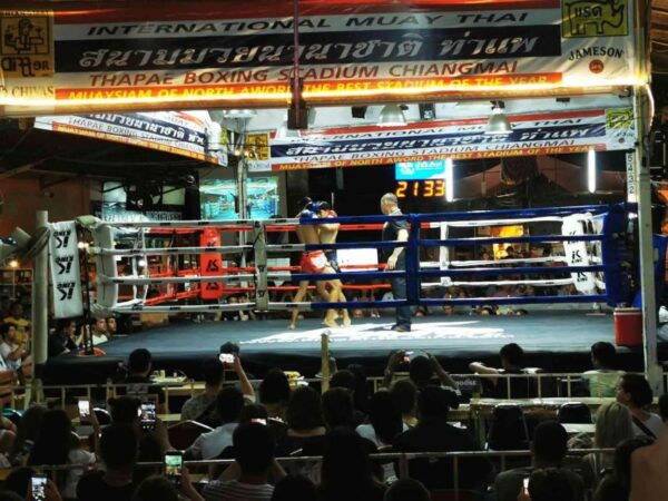 Chiang Mai: Thapae Boxing Stadium Muay Thai Match Ticket - The Sum Up