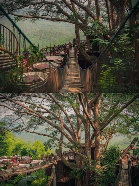 Chiang Mai: The Giant Café & Mae Kampong Village Day Trip - Who Would Love This Tour?