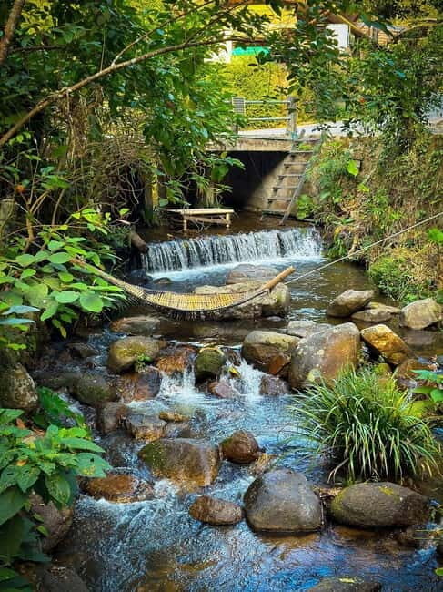 Chiang Mai: The Giant Café & Mae Kampong Village Day Trip - FAQ