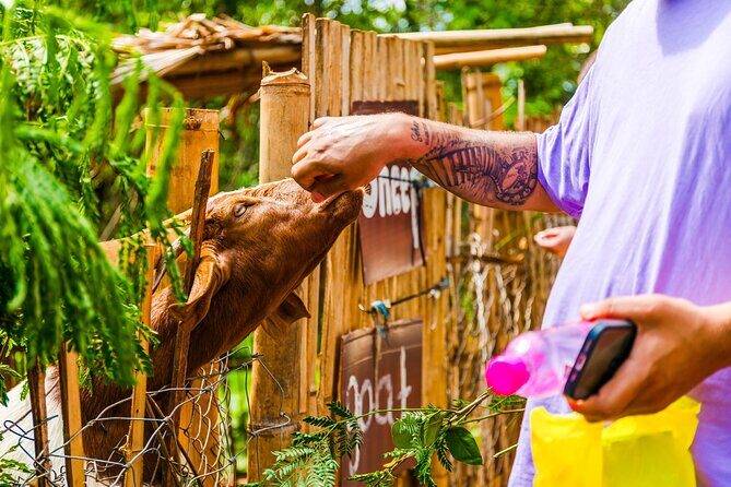 Chiang Mai to Chiang Rai Temples and Lalita Cafe Day Tour - FAQ