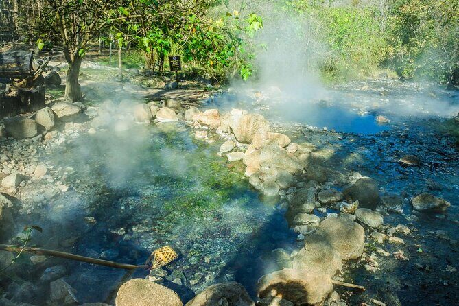 Chiang Mai to Chiang Rai Visit the White, Blue, and Red Temples - Authentic Insights from Reviewers