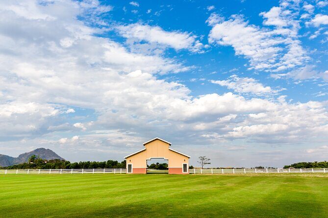 Chiang Mai to Chiang Rai Visit the White, Blue, and Red Temples - Final Thoughts: Is It Worth It?