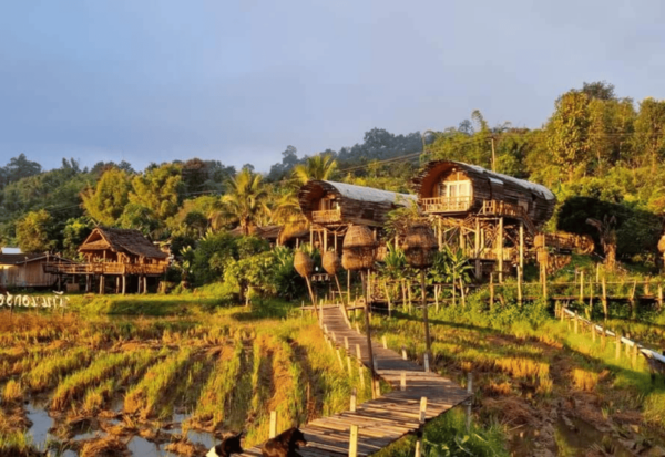 Chiang Mai to Muang Kong 2 Days 1 Night (Private) - Questions You May Have