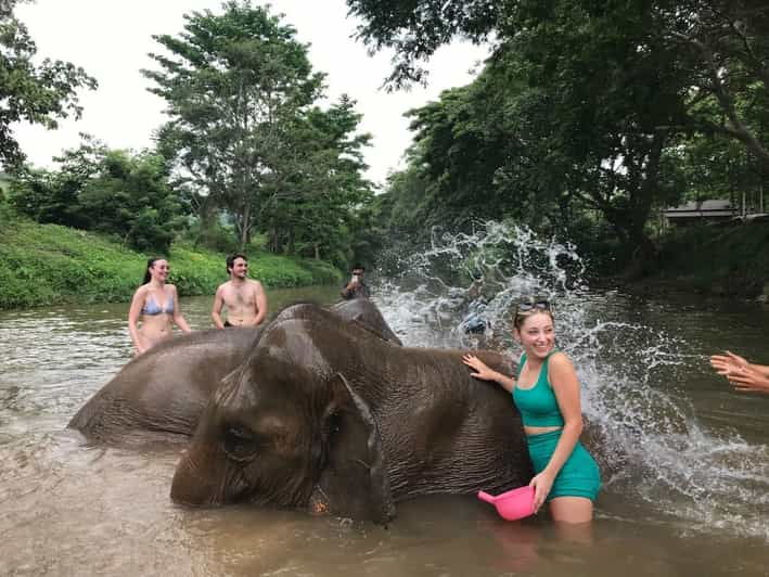 Chiang Mai: Top Rated Elephant Afternoon Tour (Starts 12PM) - Key Points