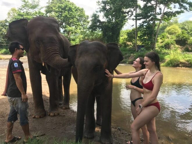 Chiang Mai: Top Rated Elephant Afternoon Tour (Starts 12PM) - Unique Experiences With Elephants
