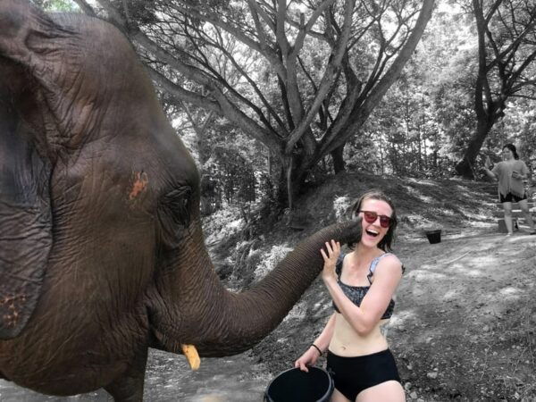 Chiang Mai: Top Rated Elephant Afternoon Tour (Starts 12PM) - What to Bring