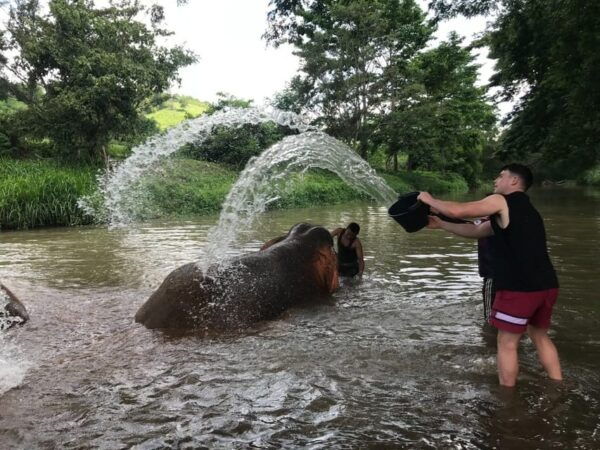 Chiang Mai: Top Rated Elephant Afternoon Tour (Starts 12PM) - Booking Information