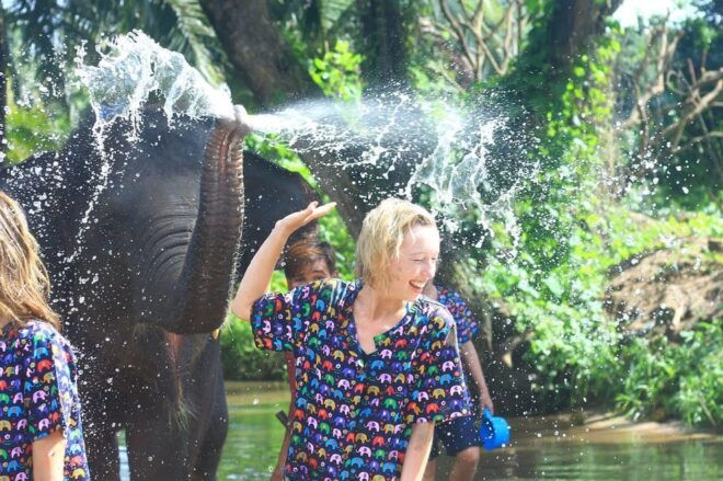 Chiang Mai : Tour 1 Day - Vehicle Details