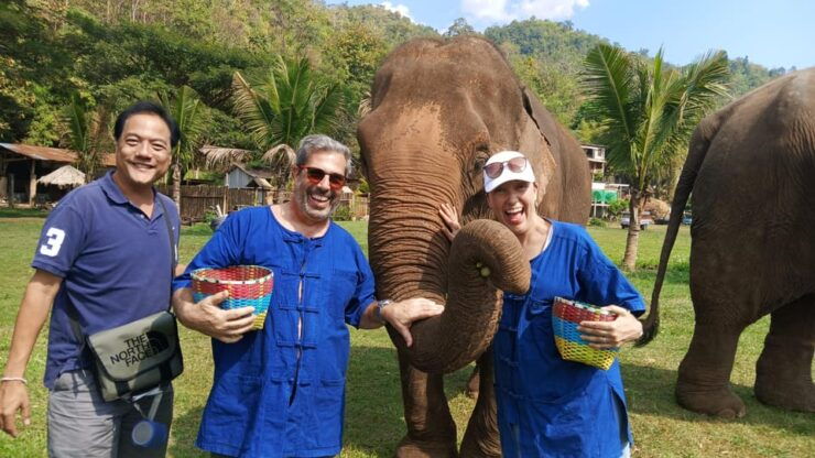 Chiang Mai Tour: Bua Tong Sticky Waterfall & Elephant Care - Itinerary Highlights