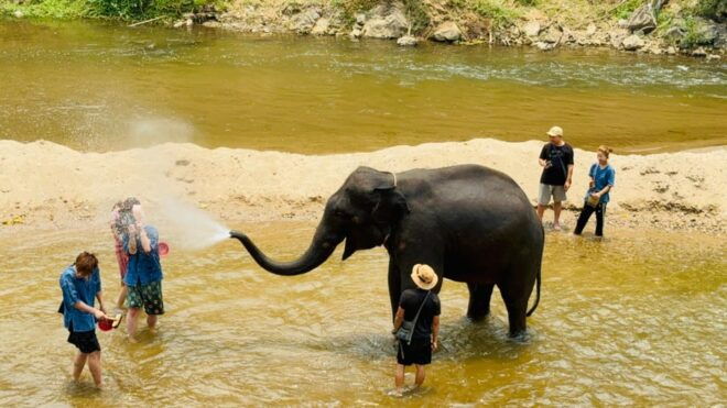 Chiang Mai Tour: Bua Tong Sticky Waterfall & Elephant Care - Inclusions and Amenities