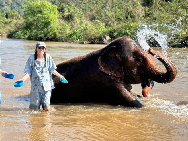 Chiang Mai Tour: Bua Tong Sticky Waterfall & Elephant Care - Restrictions and Recommendations