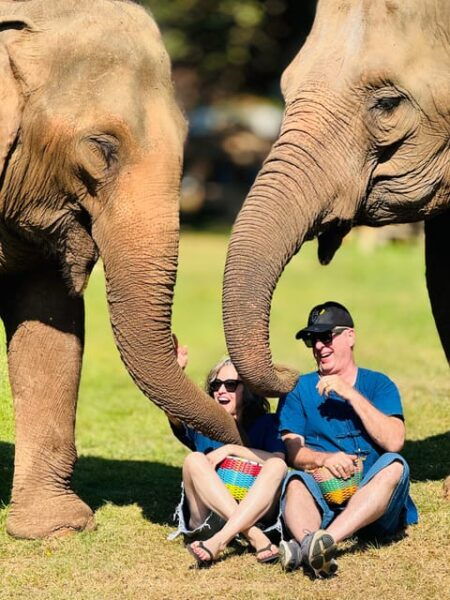 Chiang Mai Tour: Bua Tong Sticky Waterfall & Elephant Care - Booking Information
