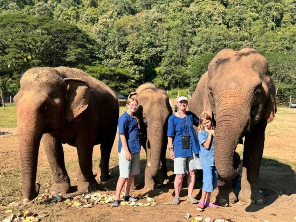 Chiang Mai Tour: Bua Tong Sticky Waterfall & Elephant Care - Additional Activities in Chiang Mai