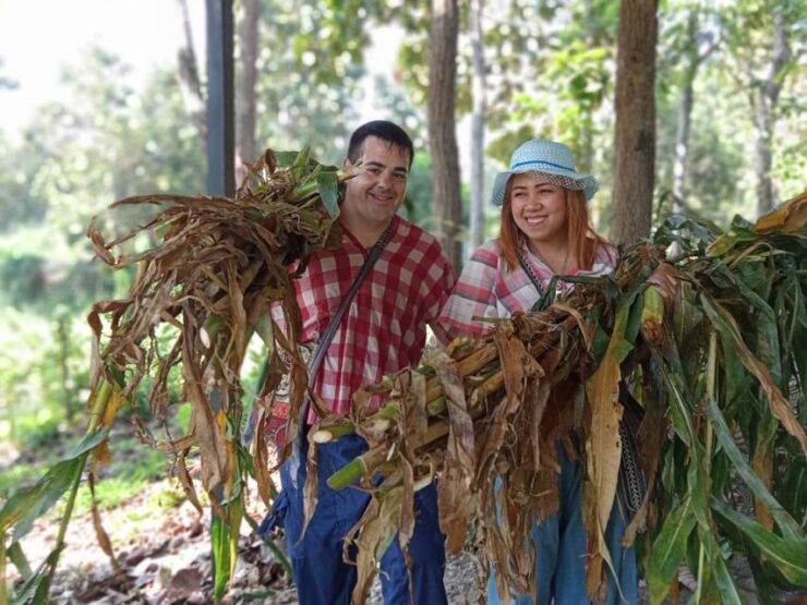 Chiang Mai: Tour Guiado Por El Santuario De Elefantes. - Detalles De La Actividad