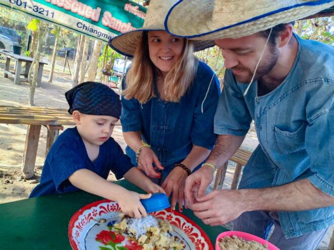 Chiang Mai: Tour Guiado Por El Santuario De Elefantes. - Resumen De Opiniones