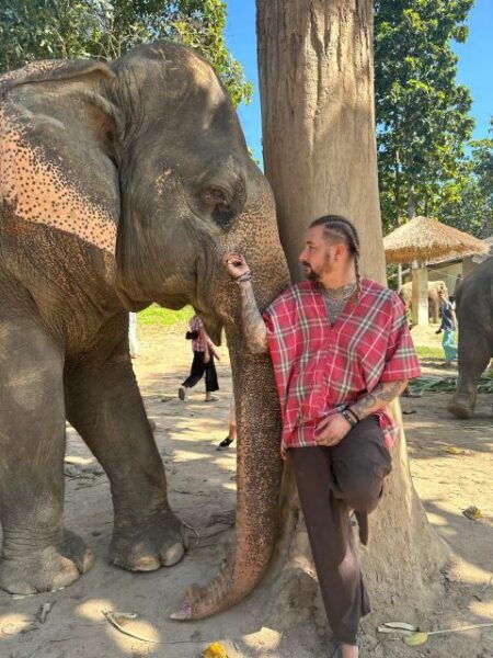 Chiang Mai: Tour Guiado Por El Santuario De Elefantes. - The Sum Up