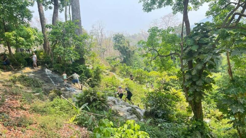 Chiang Mai: Tour Sticky Waterfall, Wat Ban Den & Dan Tewada - Who Will Love This Tour?