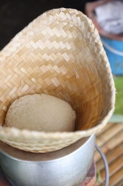 Chiang Mai: Traditional Northern Farm Cooking Class - Questions You May Have