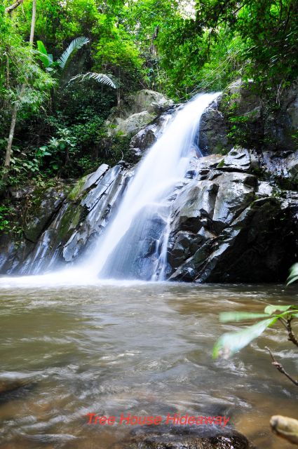 Chiang Mai: Tree House Stay & Jungle Zip-Lining - Included Features