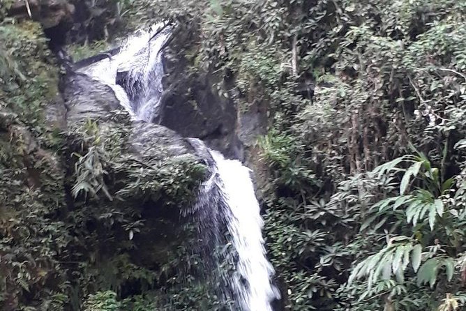 Chiang Mai - Trekking - Monks Trail Wat Palad & Wat Pratat Doi Suthep - Trail Highlights